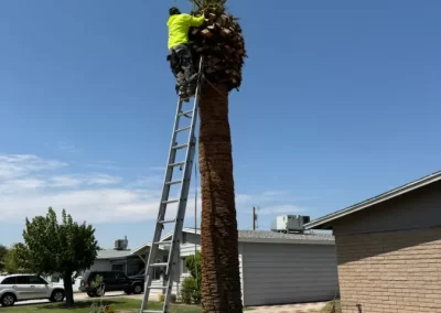 Dependable Tree Services