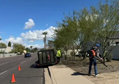 Junk Removal and Leaf Removal