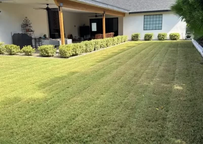 Landscaping Contractor