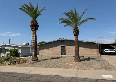 Perfect Tree Services