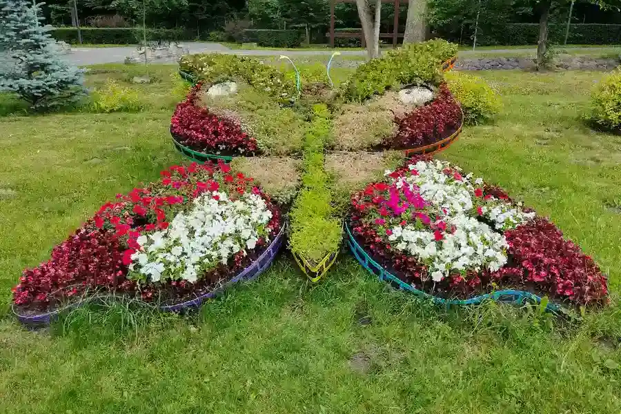 How Landscape Installation Can Improve Outdoor Functionality in Phoenix, AZ How Landscape Installation Can Improve Outdoor Functionality in Phoenix, AZ