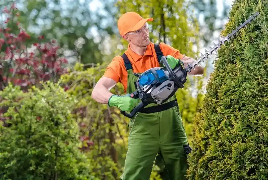Key Benefits Of Regular Bush Trimming For Your Yard Phoenix, AZ Key Benefits Of Regular Bush Trimming For Your Yard Phoenix, AZ